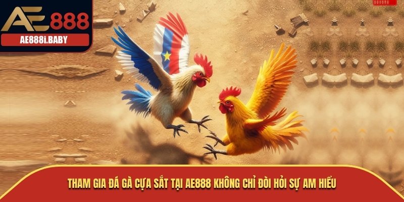 Đá Gà Cựa Sắt Tại AE888: Trải Nghiệm Độc Đáo Và Hấp Dẫn 2025 3 Tham gia đá gà cựa sắt tại AE888 không chỉ đòi hỏi sự am hiểu