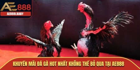 Khuyến Mãi Đá Gà