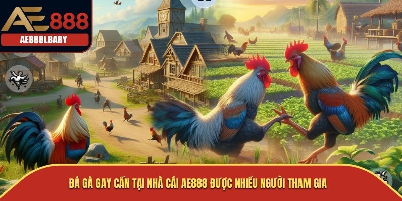 AE888 1394 - LINK VÀO NHÀ CÁI ĐÁ GÀ THOMO 11/2025 32 Đá gà gay cấn tại nhà cái AE888 được nhiều người tham gia